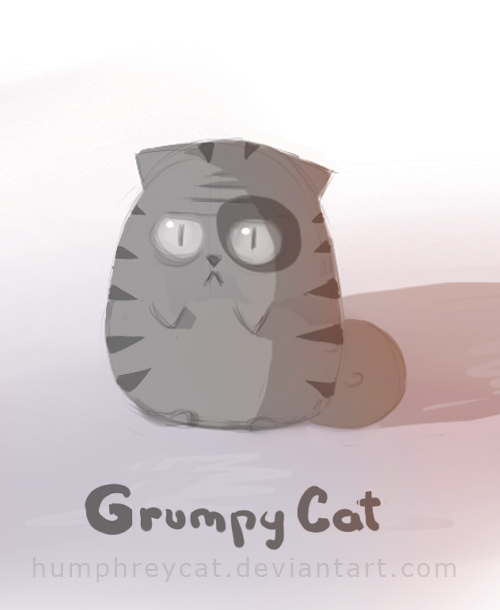 Grumpy Cat