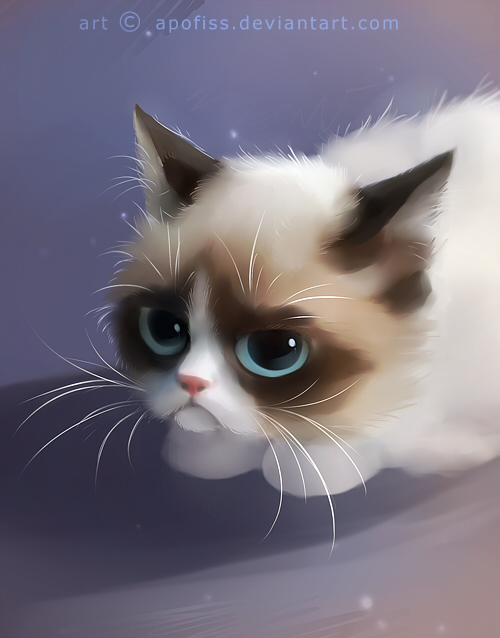 Grumpy Cat