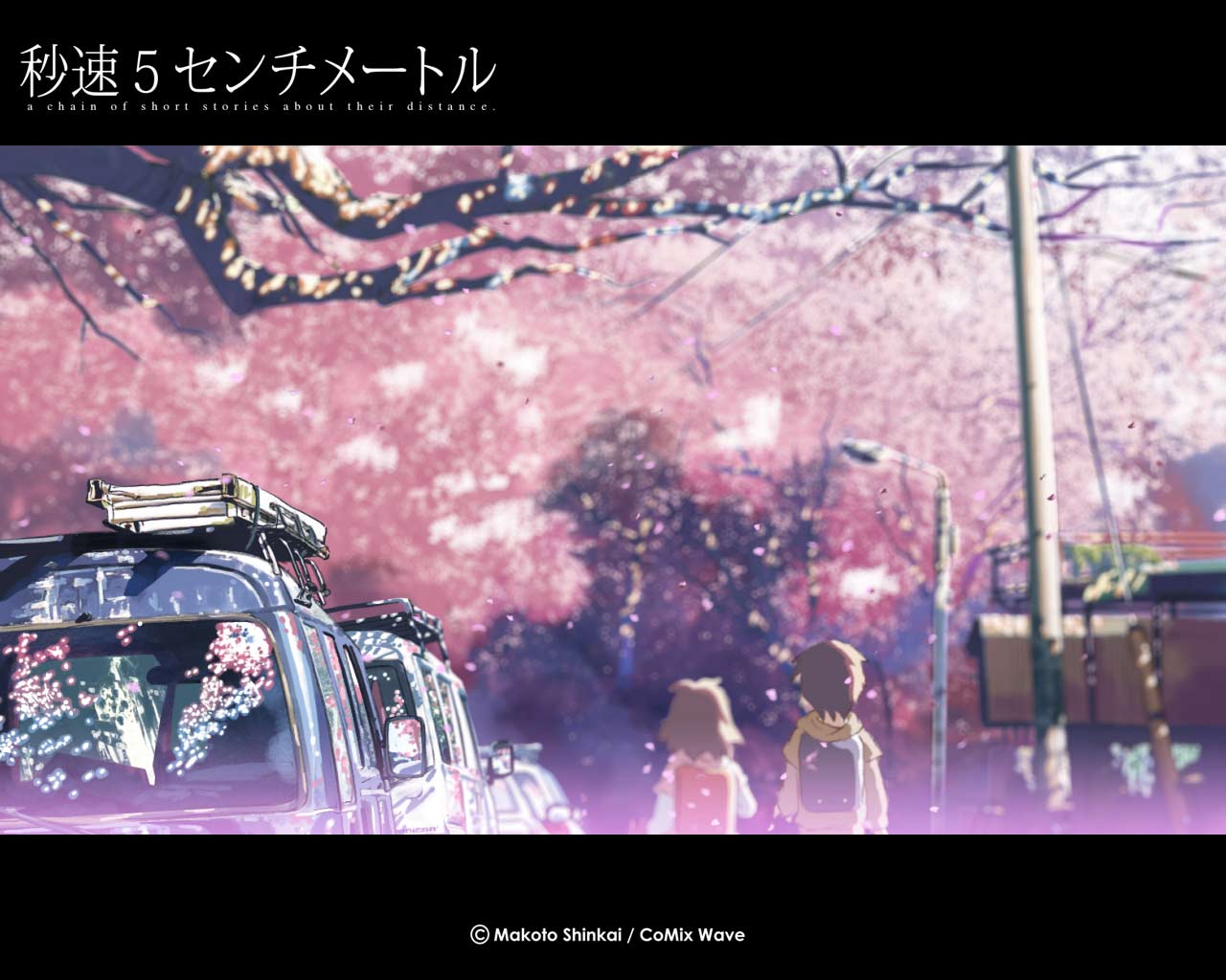 5 Centimeters per Second