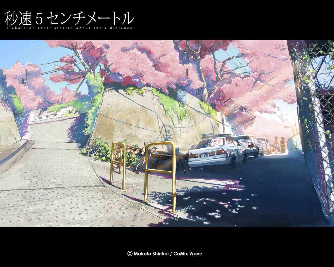 5 Centimeters per Second