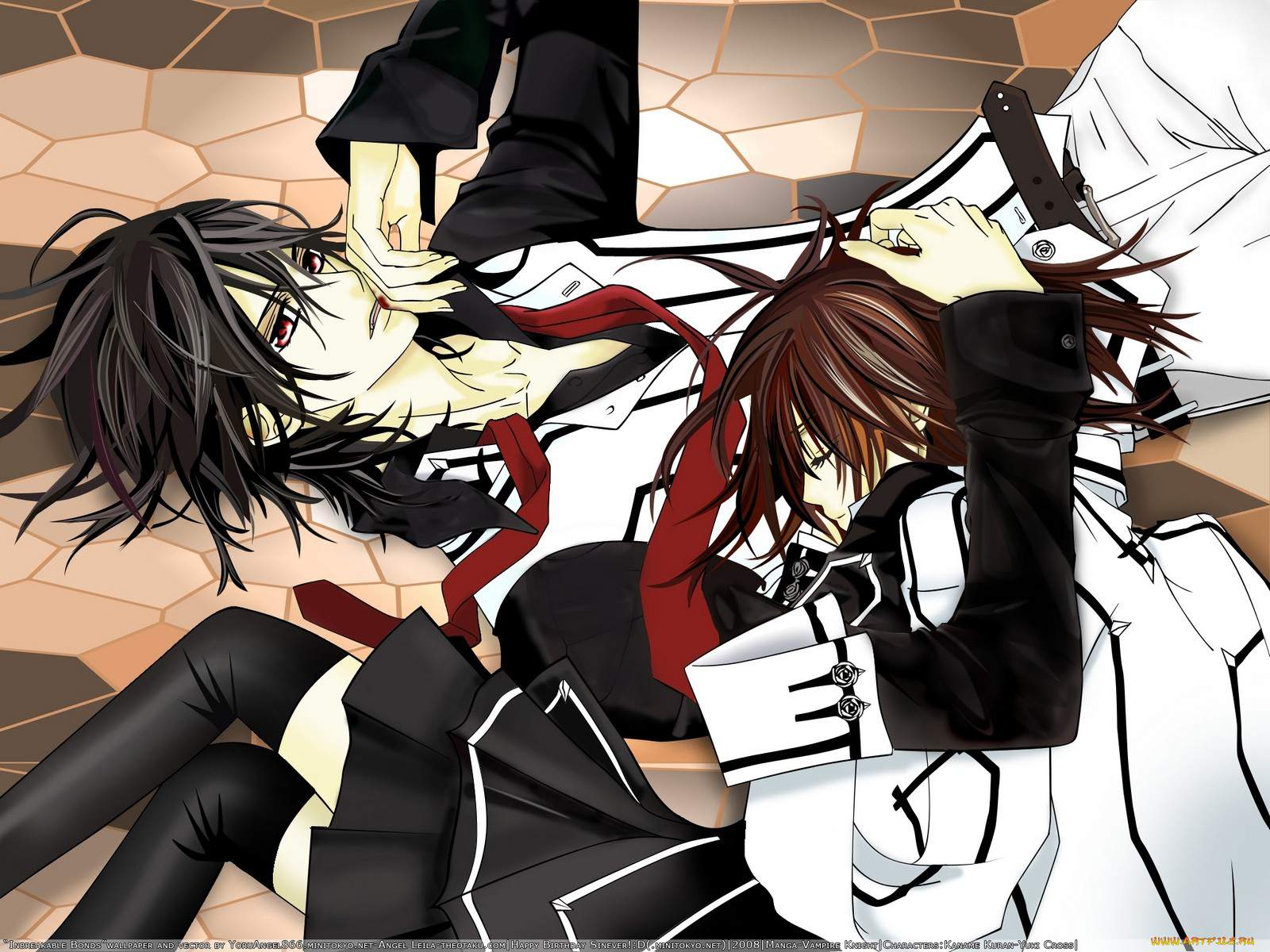 Vampire Knight