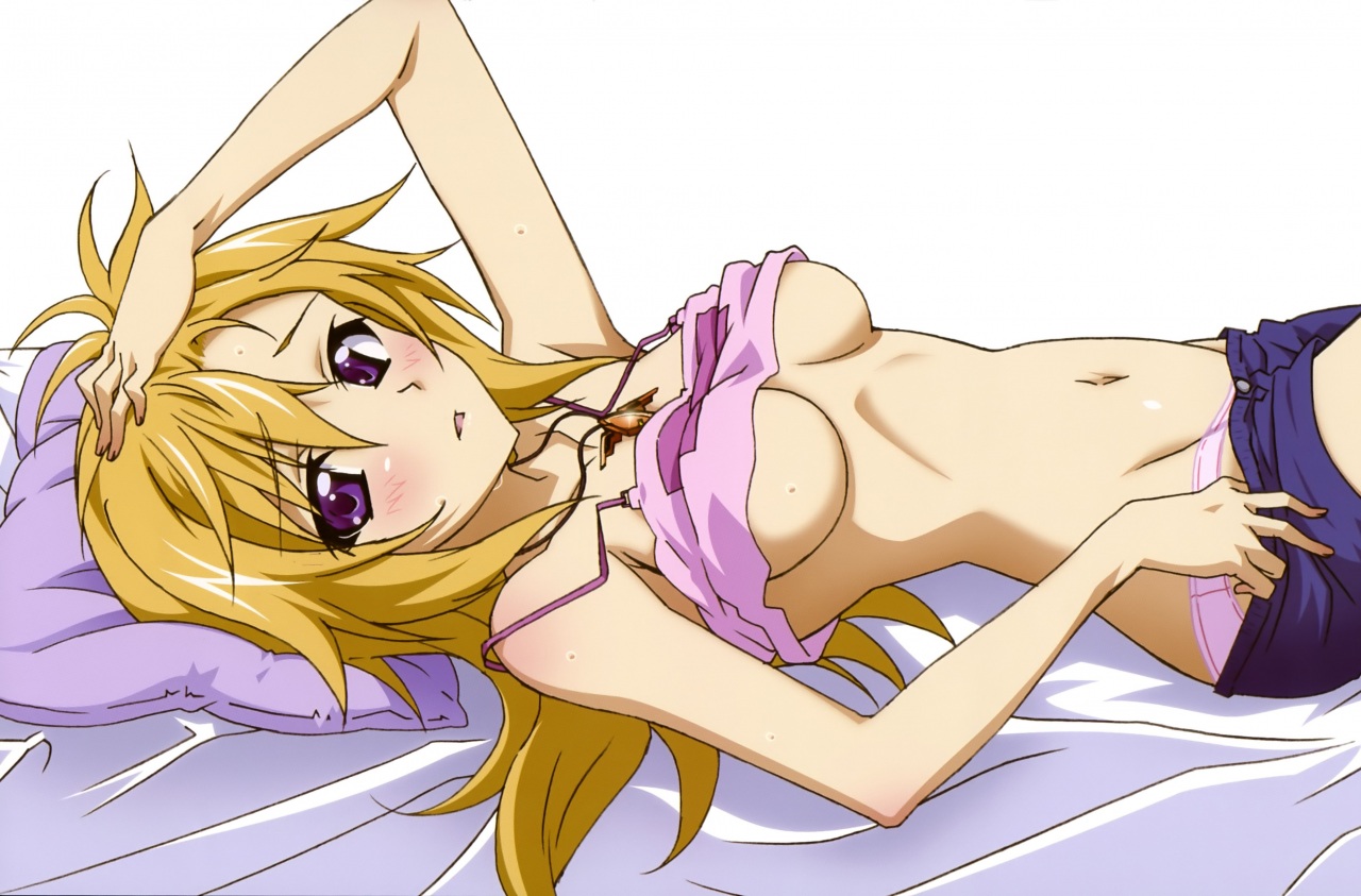 Infinite stratos хентаи манга фото 40