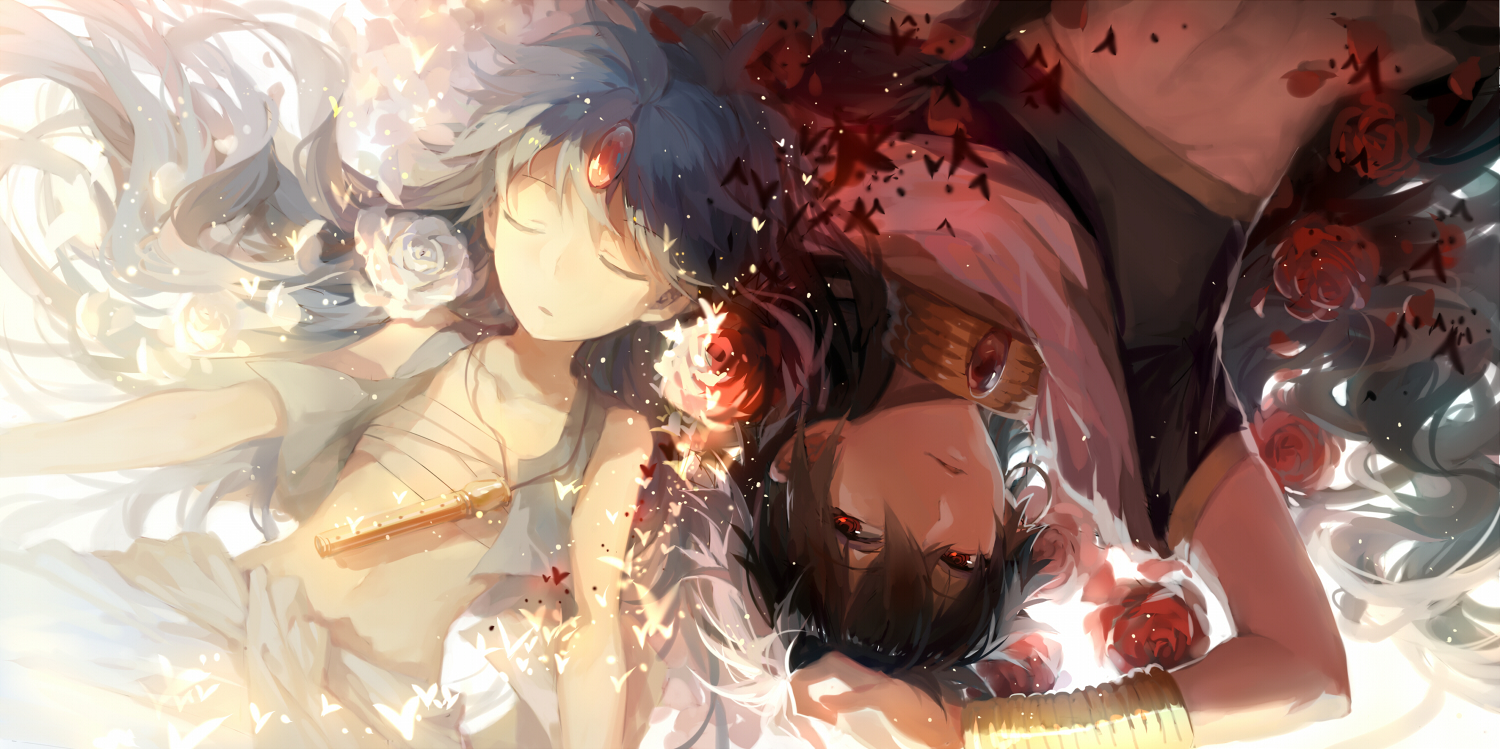 Magi The Kingdom of Magic