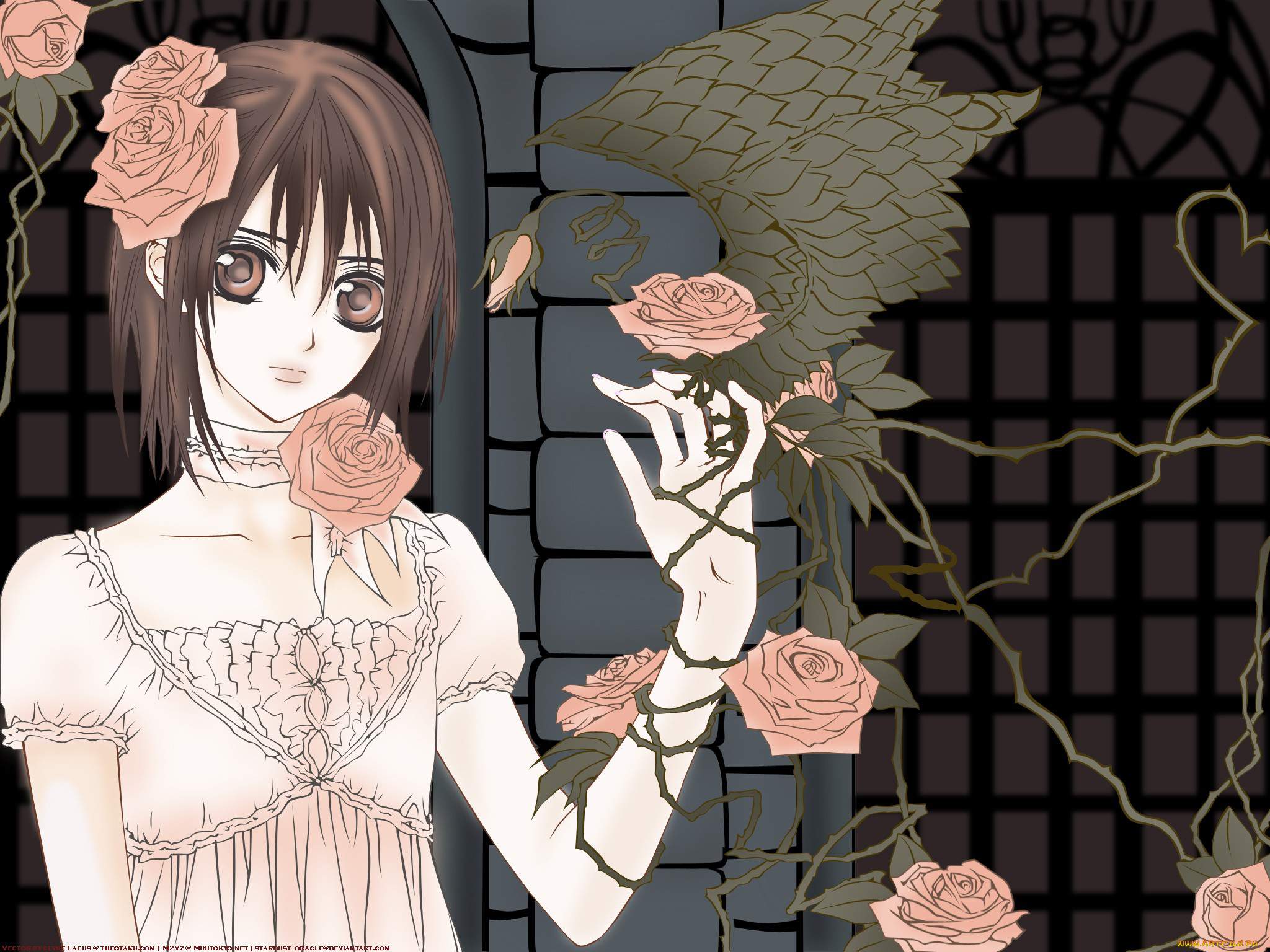 Vampire Knight