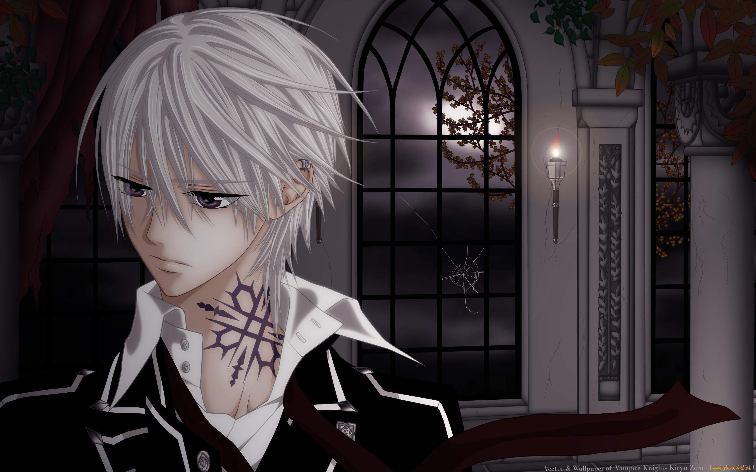 Vampire Knight