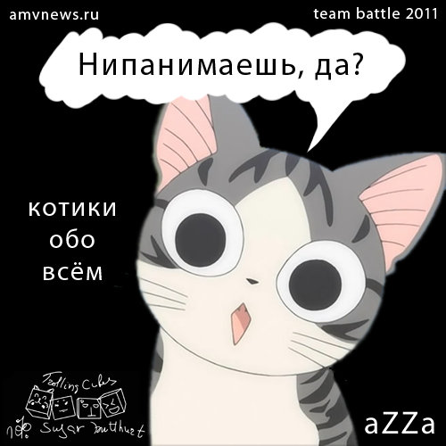 Котики обо всём