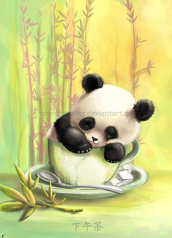 In Another Life, When Sun Are Panda) 