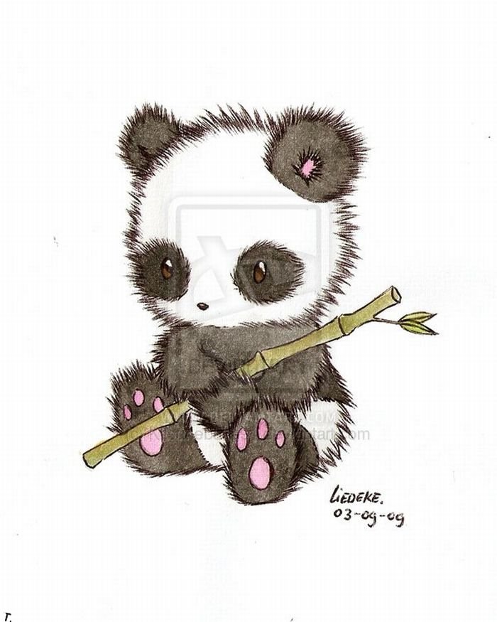 In Another Life, When Sun Are Panda) 