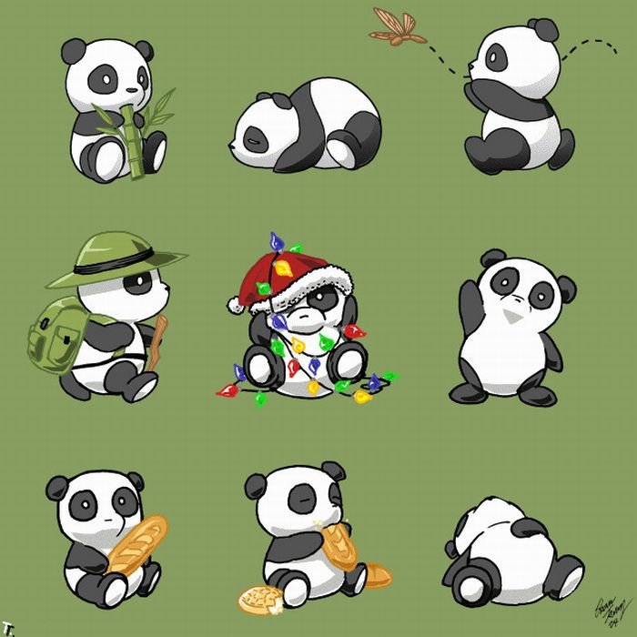 In Another Life, When Sun Are Panda) 