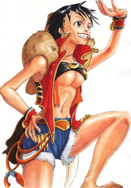 World One Piece - Перевёртыши