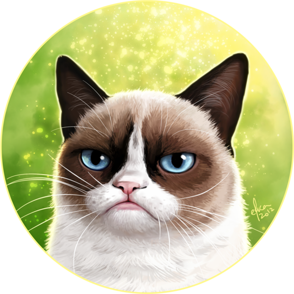 Grumpy Cat