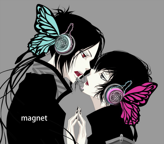 Magnet