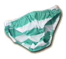 Japanese Underwear